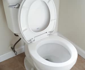 toilet